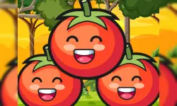 Tomato Ketchup image