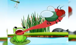 Hungry Frog image