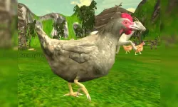 Chicken Shooting image