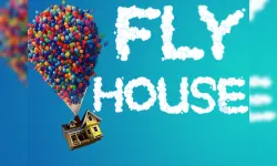 Fly House image
