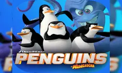 Combat Penguin Shooter image
