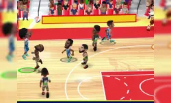 Mini Head Basketball image