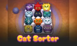 CatSorter Puzzle image