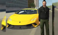 Grand City Car Thief image