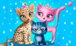 Cat Hair Salon image