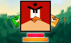 Jewel And Crazy Birds image