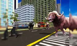 Wild Bull Shooter image