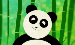 Panda Slide image