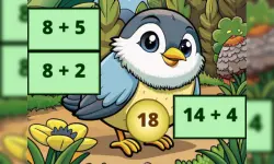 Addition: Bird Image Uncover image