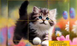 Puzzle Sliding Kittens image