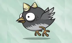 Bird Trap Dx image