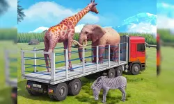 Truck Driving Animal Transport image