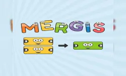 Mergis Casual image