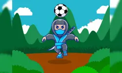 Ninja Head Ball image