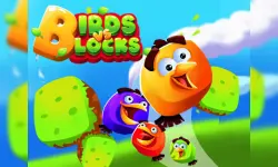 Birds VS Blocks image