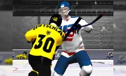Hockey Skills image