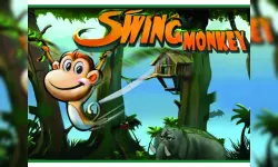 Monkey Swing image