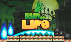 Run of Life Game image