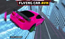 Flying Car Ayn image