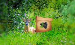 Return To Alsunga Forest image