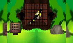 Black Bird Escape image