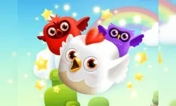 BirdsQueue image