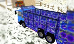 Indian Cargo Driver image