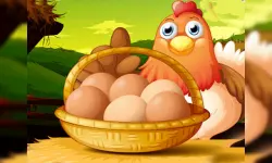 Collect Eggs image