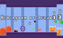 Kingdom of Ninja 3 image