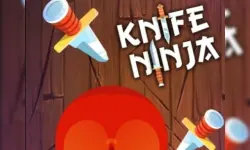 Knife Ninja image