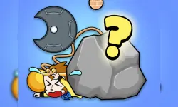 Save The Monkey image