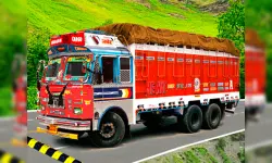 Truck Loads Simulator 3D image