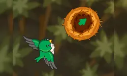 Draw The Bird Path image