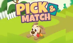 Pick And Match Game image
