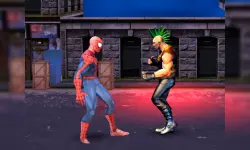 Spiderman: Street Fighter image