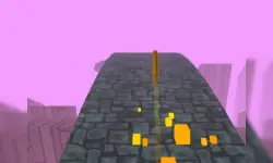 Coin Run image