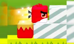Square Bird image