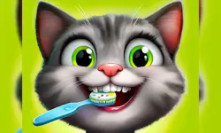 Pet Dentist image
