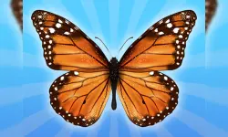 MergeButerfly: 2048! image
