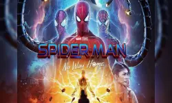 Spider Man : Multiverse image