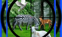 Real Jungle Animals Hunting image