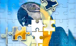 Puzzle Challenge image