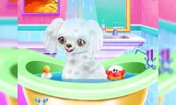 My New Poodle Friend image