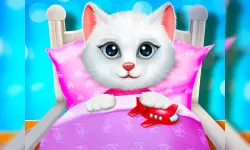 Kitty Bedtime Activities image