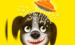 Happy Bath image