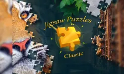 Jigsaw Puzzles Classic image
