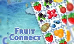 fruits connect image