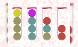 Bubble Sorter image