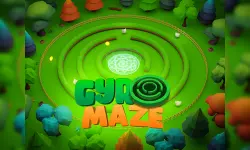 Gyro Maze 3d image