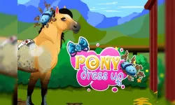 Pony Dress Up image